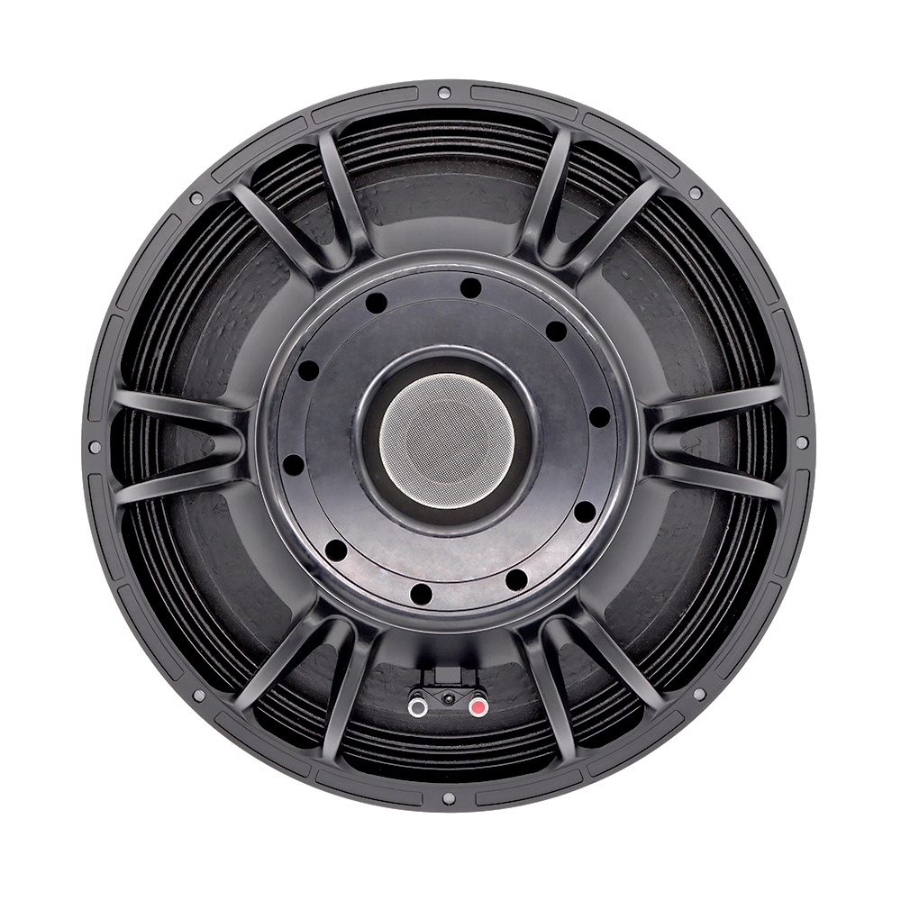 Sistem Audio Profesional 21''  - Speakers ulasan dan harga
